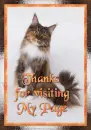 Thanks for visiting my page