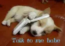 Talking Dog