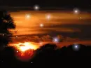 NIGHT