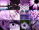 purple thing