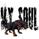 Ceberus