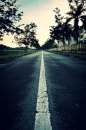 Dream road