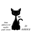my black cat