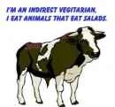 Indirect Vegitarian