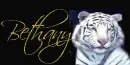 White Tiger Tag (blue eyes)- Bethany