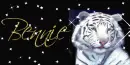 White Tiger Tag (blue eyes) with sparkles- Bennie