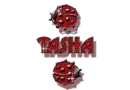 red traveling ladybugs tasha