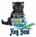 Hey You~Kitten