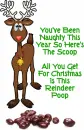 Reindeer Poop