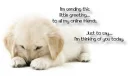 thinking of you