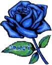 tracy blue rosa
