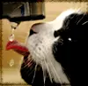 drop of water