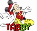 Tabby