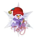 Tabby snowman