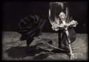 rose and  cross