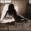 how high can u fly