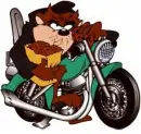 taz