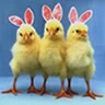 cute huh