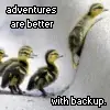 birdies