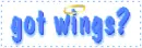 got wings?
