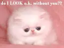 Do I look ok?