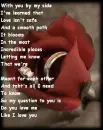 Rings in Rose