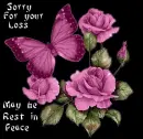 Sorry for loss