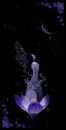 Fairy 