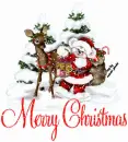 Merry Christmas