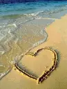 summer love