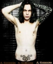 Ville Valo 