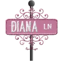 pink street sign diana LN