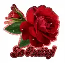 So Pretty