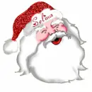selina santa