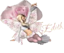 Pink Fairy Edith