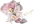 Pink fairy Morgan
