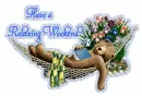 Relaxing Weekend