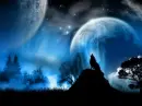 Blue moon wolf