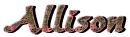 Camo Allison
