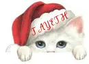CAT IN SANTA HAT