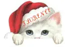 CAT IN SANTA HAT