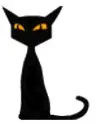 black cat