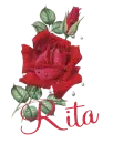 Rita