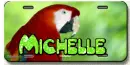 Michelle license plate