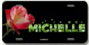 Michelle license plate