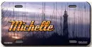 Michelle license plate