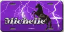 Michelle license plate