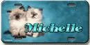 Michelle license plate