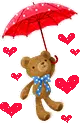 cute bear