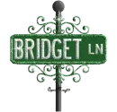 green street sign bridget LN